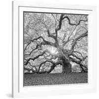 The Tree Square-BW 2-Moises Levy-Framed Photographic Print