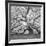 The Tree Square-BW 2-Moises Levy-Framed Photographic Print