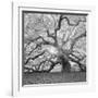 The Tree Square-BW 2-Moises Levy-Framed Premium Photographic Print