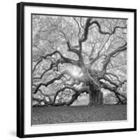 The Tree Square-BW 2-Moises Levy-Framed Premium Photographic Print