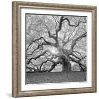 The Tree Square-BW 2-Moises Levy-Framed Photographic Print