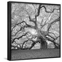 The Tree Square-BW 2-Moises Levy-Framed Photographic Print