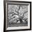 The Tree Square-BW 2-Moises Levy-Framed Photographic Print