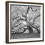 The Tree Square-BW 2-Moises Levy-Framed Photographic Print