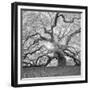 The Tree Square-BW 2-Moises Levy-Framed Photographic Print