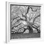 The Tree Square-BW 2-Moises Levy-Framed Photographic Print