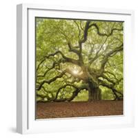 The Tree Square-Edit OL-Moises Levy-Framed Photographic Print