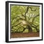 The Tree Square-Edit OL-Moises Levy-Framed Photographic Print