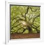 The Tree Square-Edit OL-Moises Levy-Framed Photographic Print