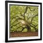 The Tree Square-Edit OL-Moises Levy-Framed Photographic Print