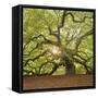 The Tree Square-Edit OL-Moises Levy-Framed Stretched Canvas