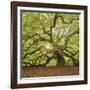 The Tree Square-Edit OL-Moises Levy-Framed Photographic Print