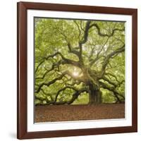 The Tree Square-Edit OL-Moises Levy-Framed Photographic Print