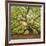 The Tree Square-Edit OL-Moises Levy-Framed Photographic Print