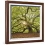 The Tree Square-Edit OL-Moises Levy-Framed Photographic Print