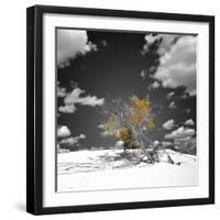 The Tree That Would Not Die-Philippe Sainte-Laudy-Framed Premium Photographic Print