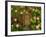 The Tree Trunk with Gates to the Magic Elves Castle. Raster Version.-Dazdraperma-Framed Photographic Print