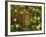 The Tree Trunk with Gates to the Magic Elves Castle. Raster Version.-Dazdraperma-Framed Photographic Print