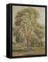 The Tree (W/C)-John Constable-Framed Stretched Canvas