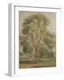 The Tree (W/C)-John Constable-Framed Giclee Print