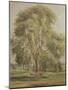 The Tree (W/C)-John Constable-Mounted Giclee Print