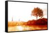 The Tree-Carol and Mike Werner-Framed Stretched Canvas