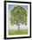 The Tree-Ditz-Framed Giclee Print