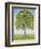 The Tree-Ditz-Framed Giclee Print