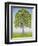 The Tree-Ditz-Framed Giclee Print