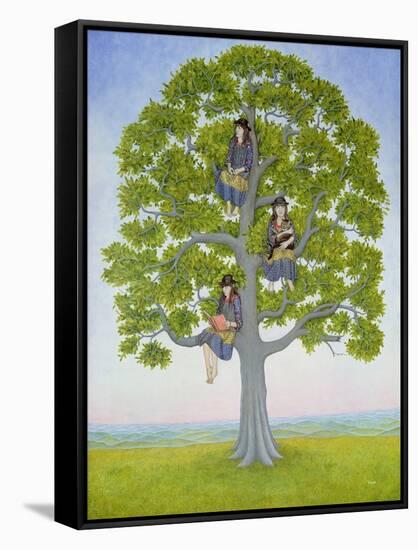 The Tree-Ditz-Framed Stretched Canvas