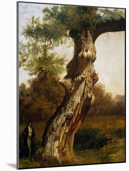 The Tree-Filippo Palizzi-Mounted Giclee Print