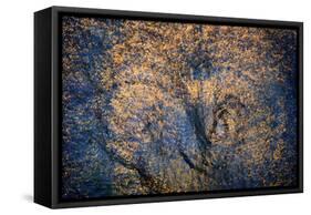 The Trees Have Eyes-Ursula Abresch-Framed Stretched Canvas