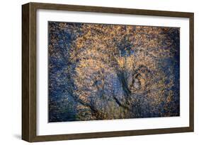 The Trees Have Eyes-Ursula Abresch-Framed Photographic Print