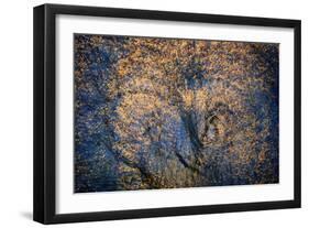 The Trees Have Eyes-Ursula Abresch-Framed Photographic Print