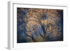 The Trees Have Eyes-Ursula Abresch-Framed Photographic Print