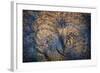 The Trees Have Eyes-Ursula Abresch-Framed Photographic Print