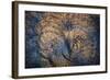 The Trees Have Eyes-Ursula Abresch-Framed Photographic Print