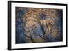 The Trees Have Eyes-Ursula Abresch-Framed Photographic Print