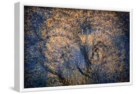 The Trees Have Eyes-Ursula Abresch-Framed Photographic Print