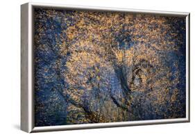 The Trees Have Eyes-Ursula Abresch-Framed Photographic Print