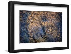 The Trees Have Eyes-Ursula Abresch-Framed Photographic Print