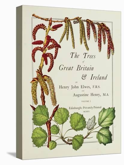 The Trees of Great Britain and Ireland, Volume 1-Henry John and Augustine Elwes and Henry-Stretched Canvas