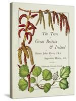 The Trees of Great Britain and Ireland, Volume 1-Henry John and Augustine Elwes and Henry-Stretched Canvas