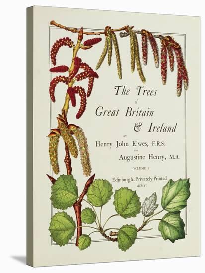 The Trees of Great Britain and Ireland, Volume 1-Henry John and Augustine Elwes and Henry-Stretched Canvas