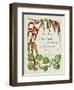 The Trees of Great Britain and Ireland, Volume 1-Henry John and Augustine Elwes and Henry-Framed Giclee Print