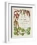 The Trees of Great Britain and Ireland, Volume 1-Henry John and Augustine Elwes and Henry-Framed Giclee Print