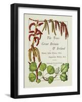 The Trees of Great Britain and Ireland, Volume 1-Henry John and Augustine Elwes and Henry-Framed Giclee Print