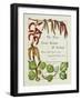 The Trees of Great Britain and Ireland, Volume 1-Henry John and Augustine Elwes and Henry-Framed Giclee Print