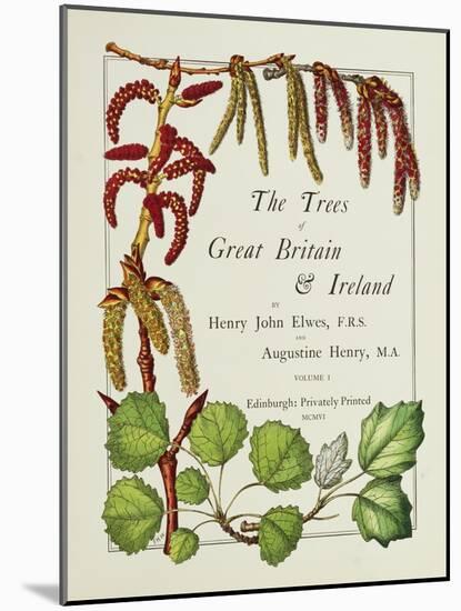 The Trees of Great Britain and Ireland, Volume 1-Henry John and Augustine Elwes and Henry-Mounted Giclee Print