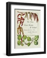 The Trees of Great Britain and Ireland, Volume 1-Henry John and Augustine Elwes and Henry-Framed Premium Giclee Print